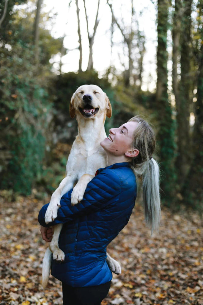 A Complete Guide to Crafting a Halloween-Inspired Dog Portrait