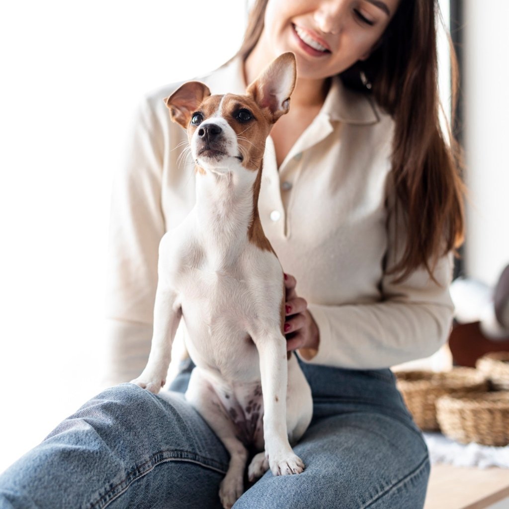 Capture Your Pet’s Last Summer Moments in a Personalized Portrait