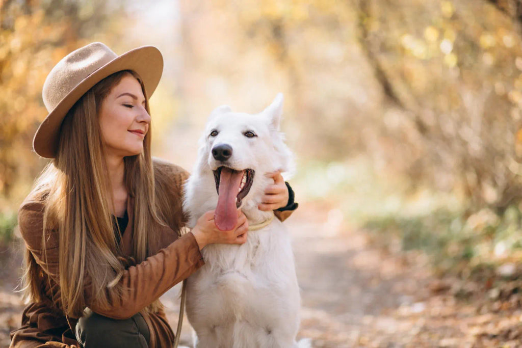 Dressed to Impress: Featuring Your Dog’s Best Look in a Portrait