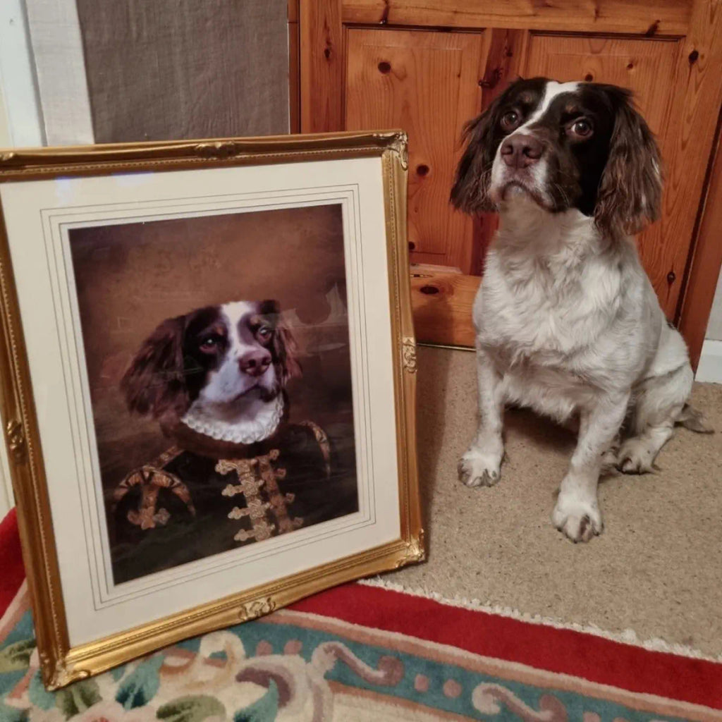 How to Make Your Pet’s Portrait the Highlight of Your Home Décor