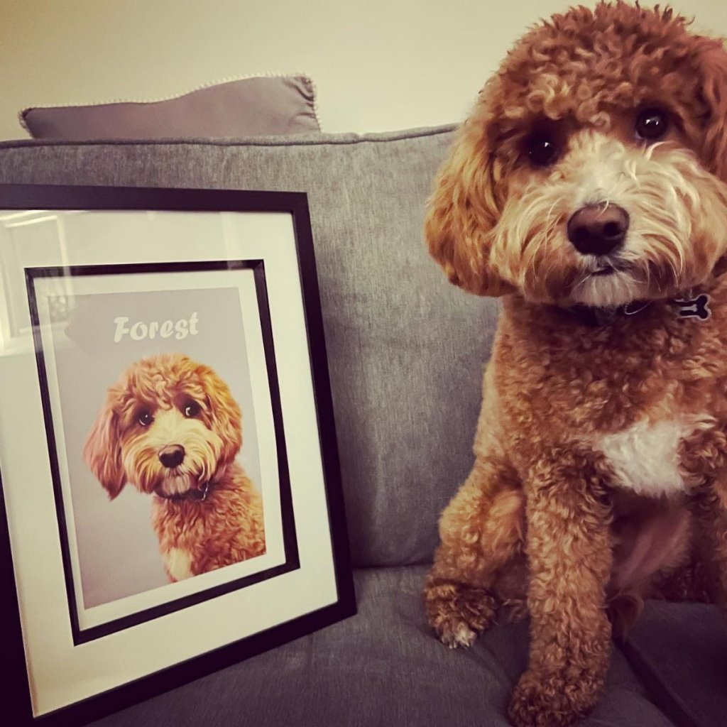 Pet Portraits: The Perfect Gift for Animal Lovers