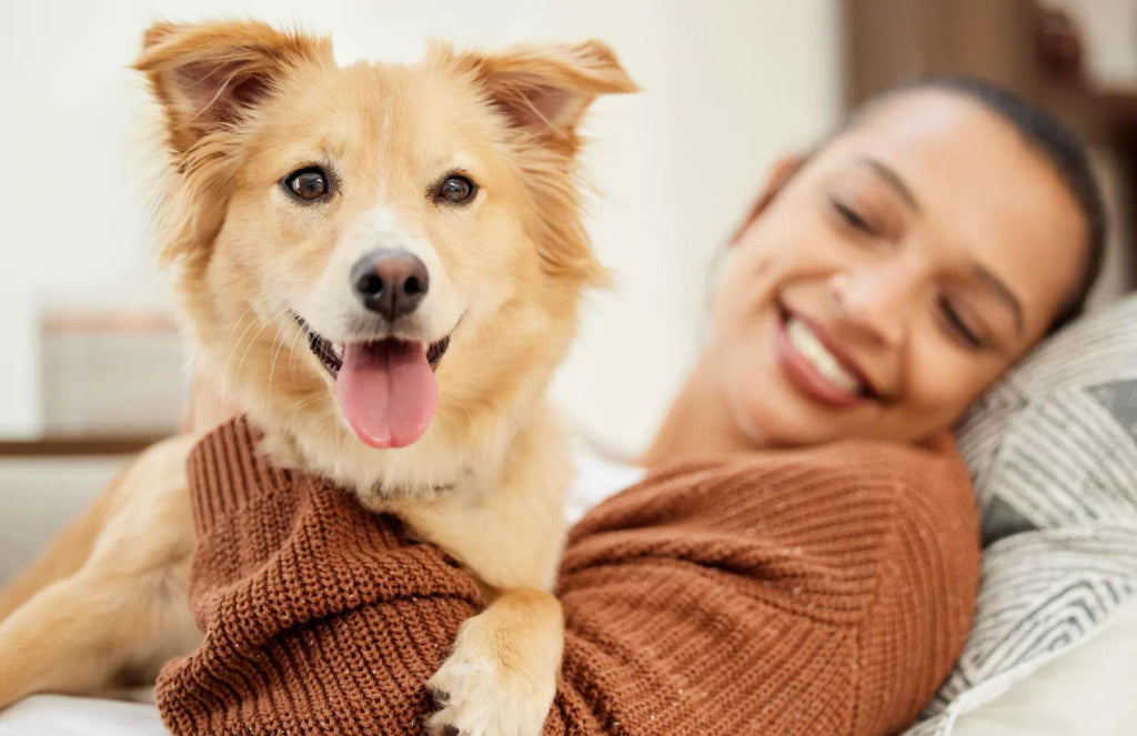 The Benefits of Having a Pet Portrait in Your Home