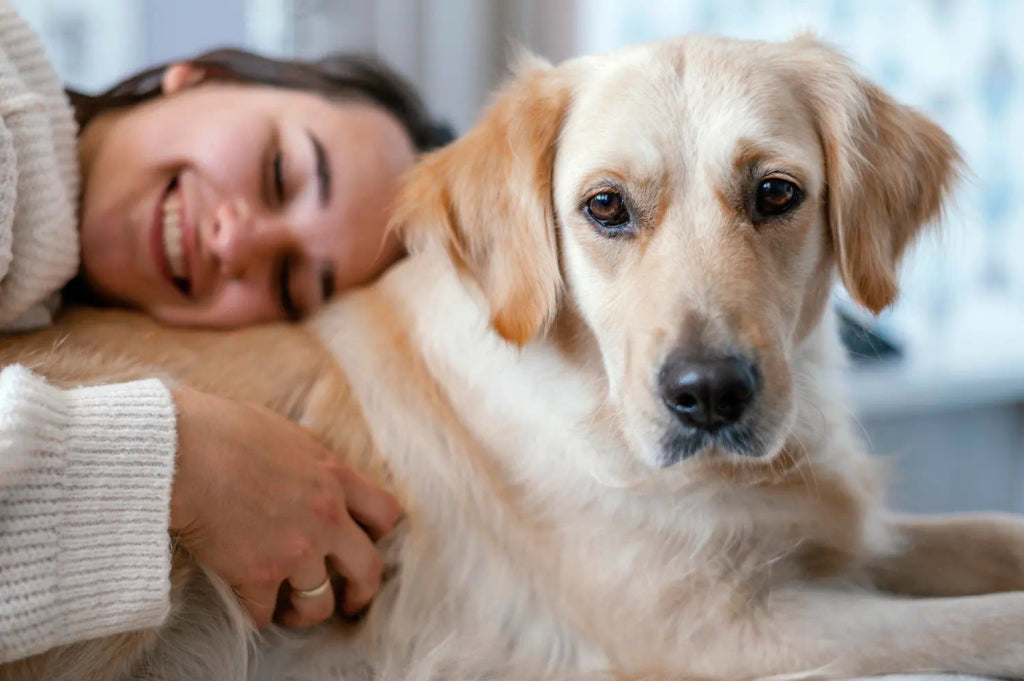 The Best Occasions to Gift a Pet Portrait