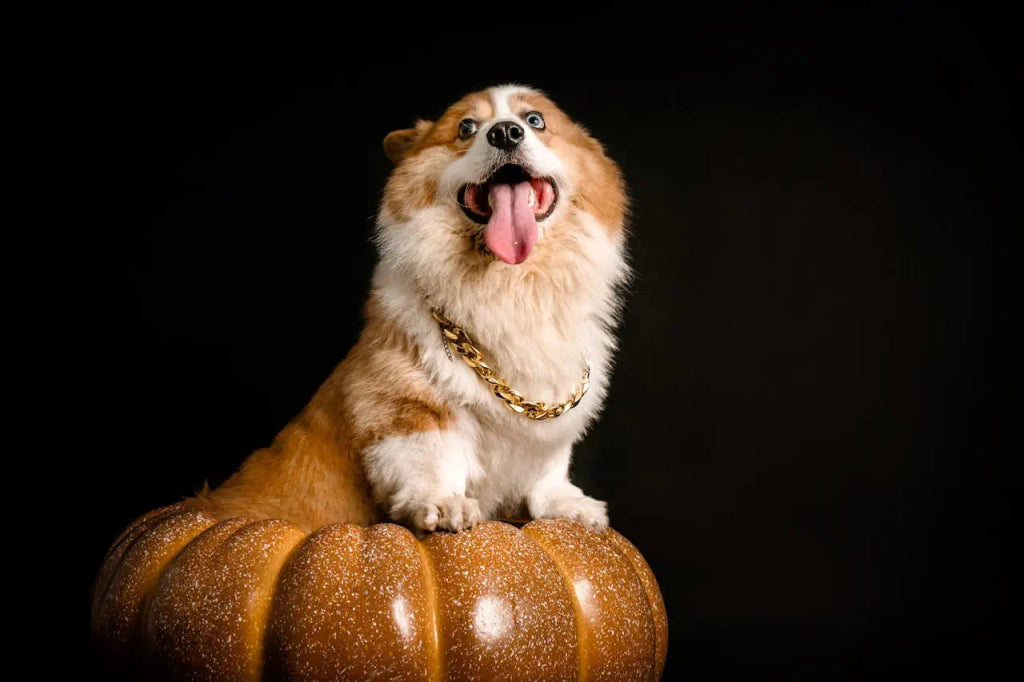 The Perfect Way to Honor Your Pet This Halloween with a Custom Portrait