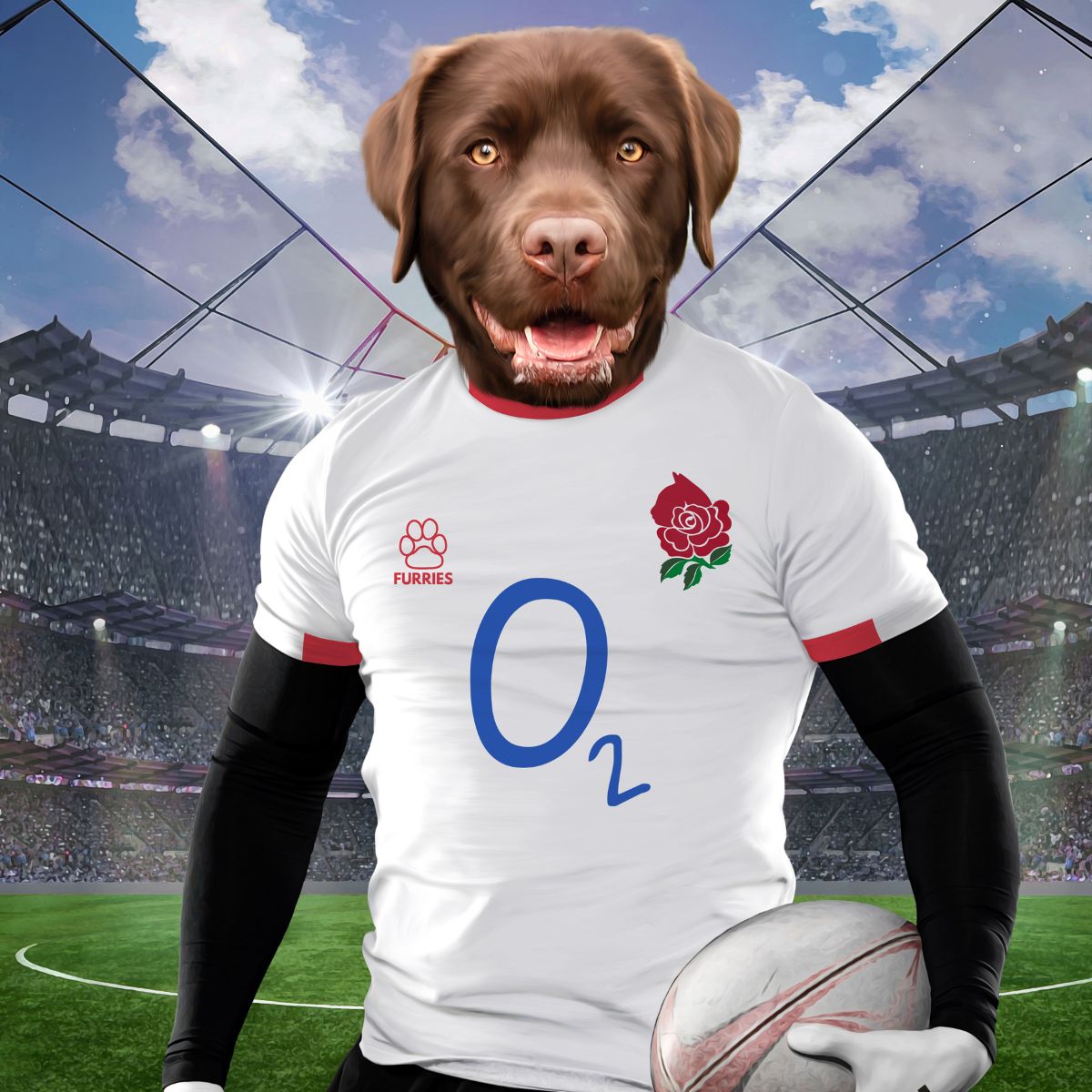 Dog england rugby sales shirt