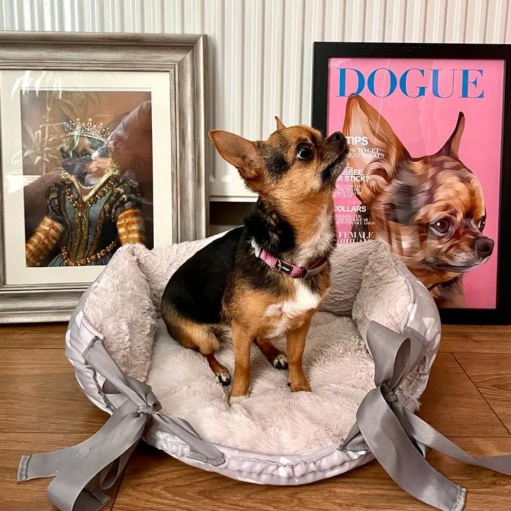 Dogue: Custom Pet Portrait