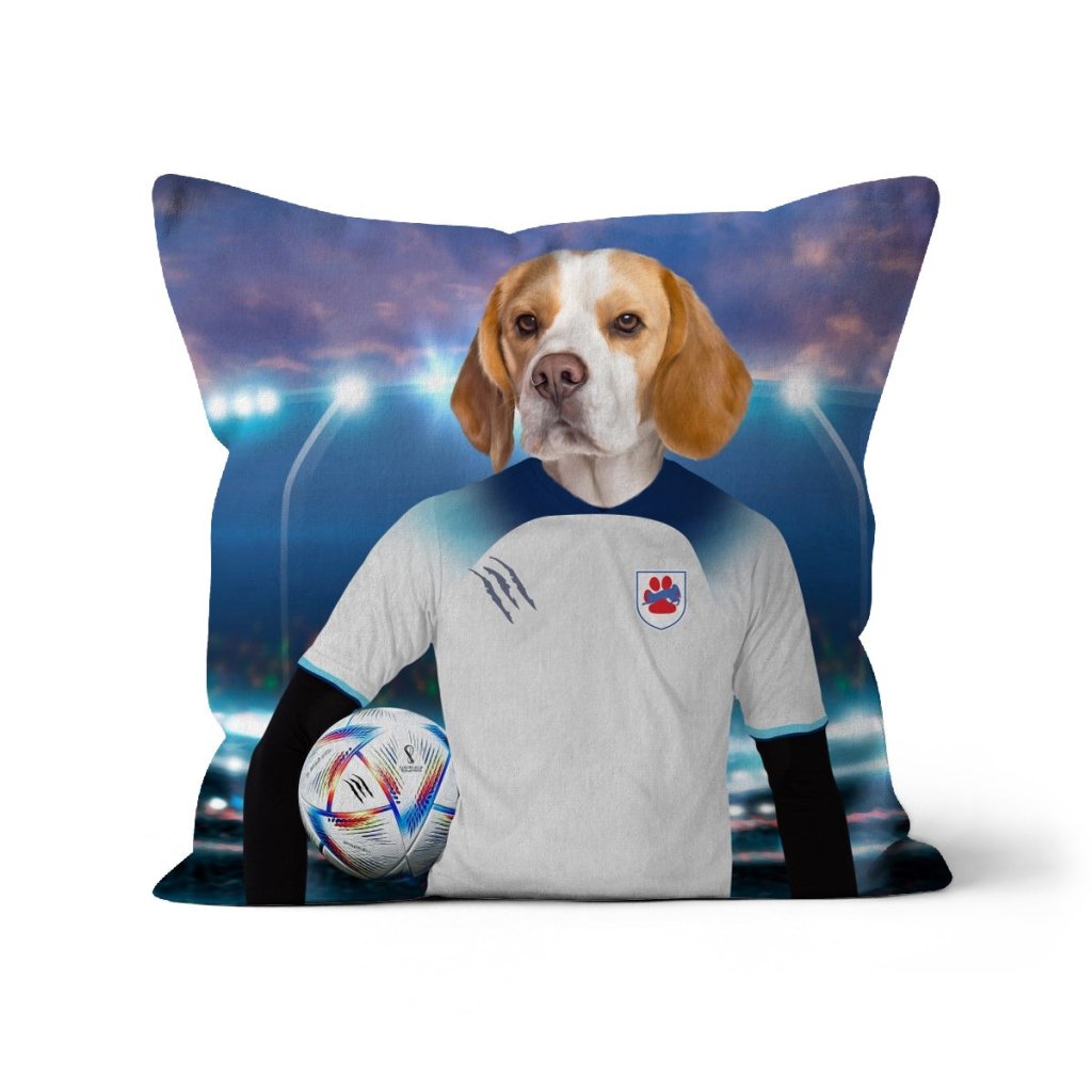 England Football Team (FIFA 2022): Custom Pet Pillow - Paw & Glory - Dog Portraits - Pet Portraits