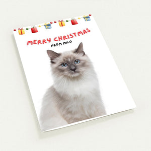 Minimalist Pet Christmas Cards - Paw & Glory - Dog Portraits - Pet Portraits