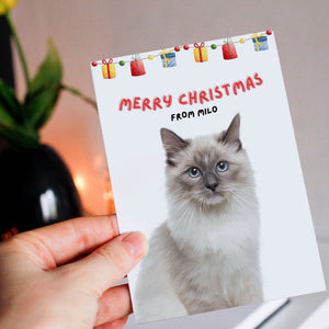 Minimalist Pet Christmas Cards - Paw & Glory - Dog Portraits - Pet Portraits