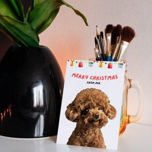 Modern Pet Christmas Cards - Paw & Glory - Dog Portraits - Pet Portraits