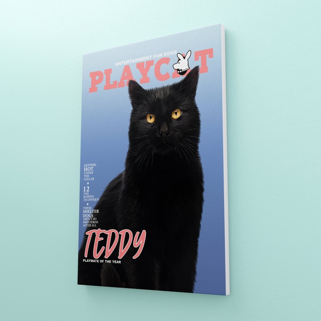 Play Cat: Custom Pet Canvas - Paw & Glory - #pet portraits# - #dog portraits# - #pet portraits uk#