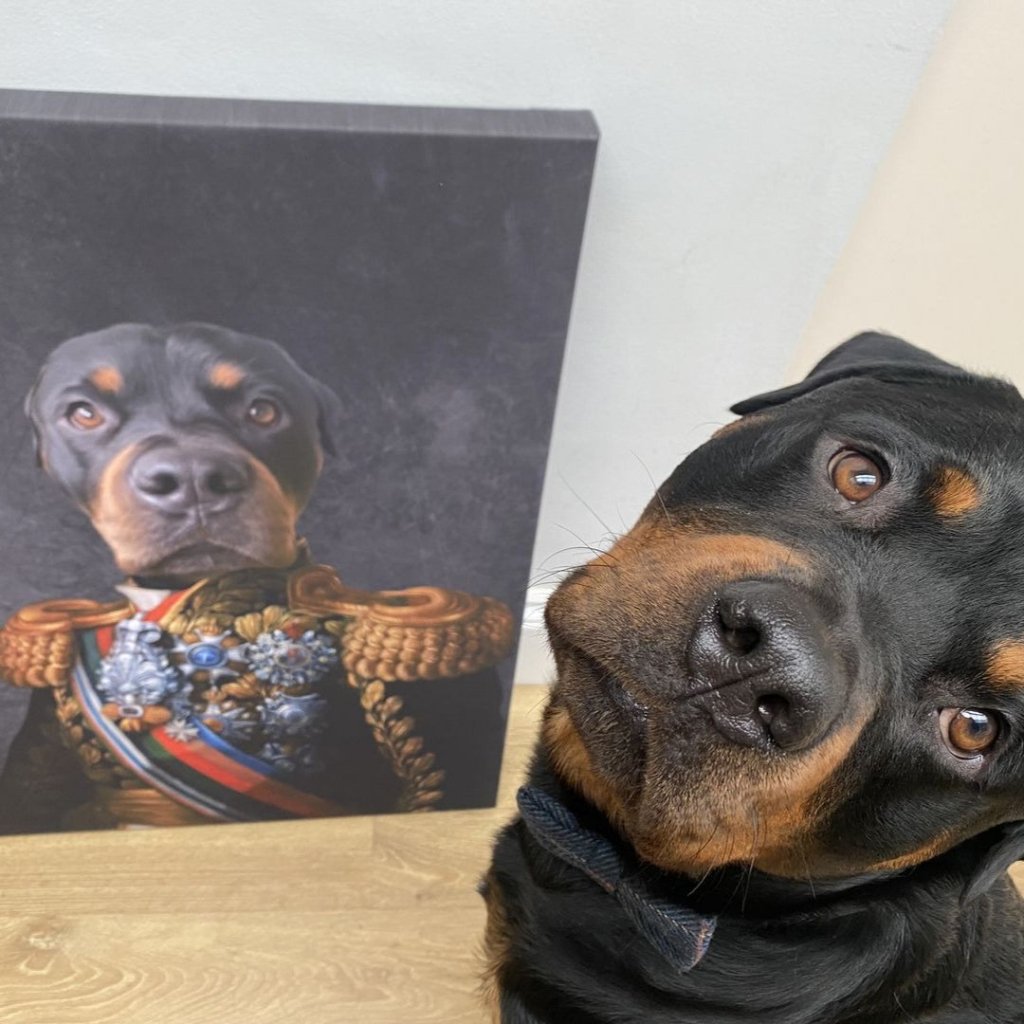 The First Lieutenant: Custom Pet Canvas