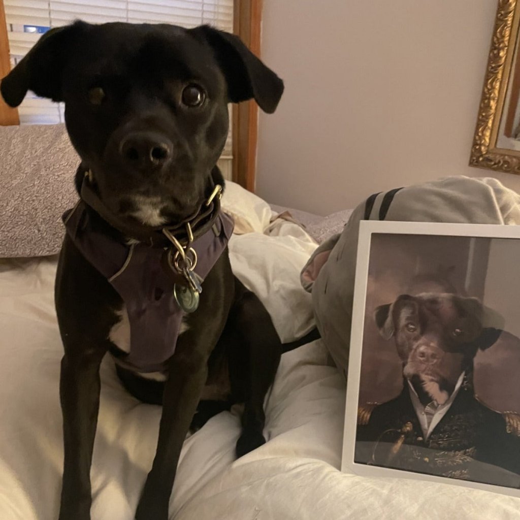 The General: Custom Pet Portrait