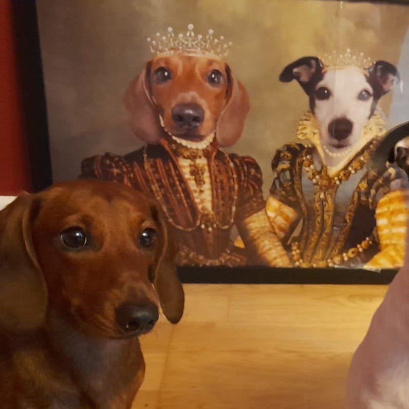 The Princesses: Custom Pet Portrait - Paw & Glory - Dog Portraits - Pet Portraits