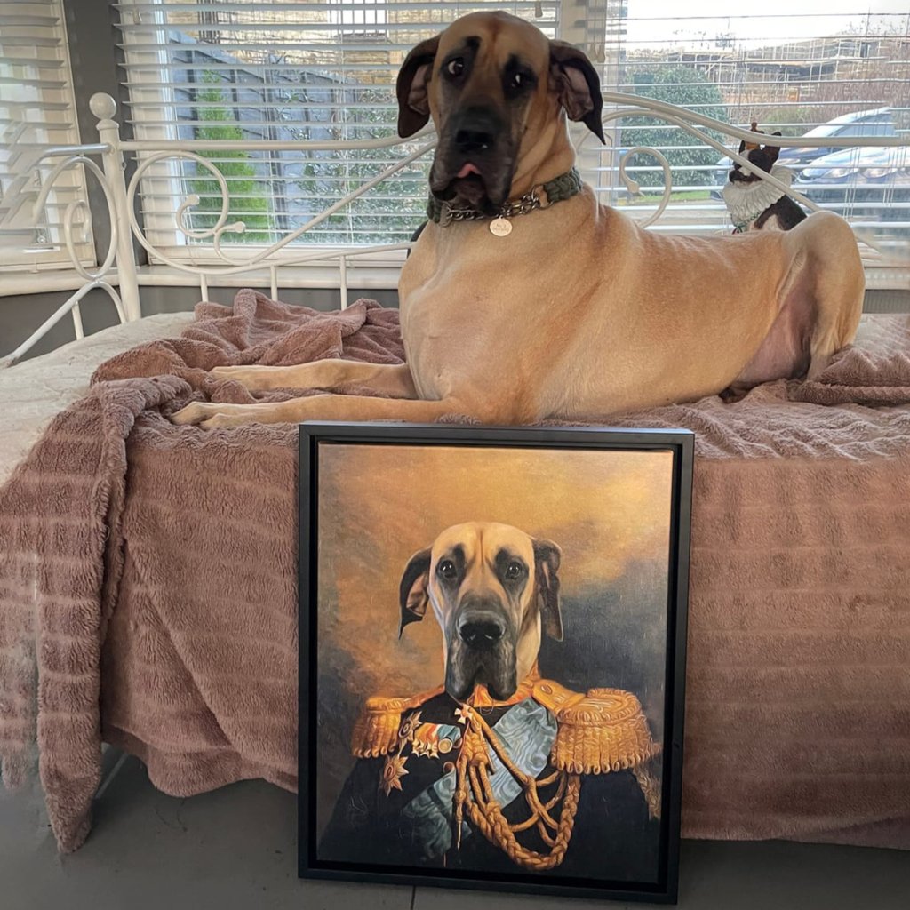 The Veteran: Custom Pet Portrait